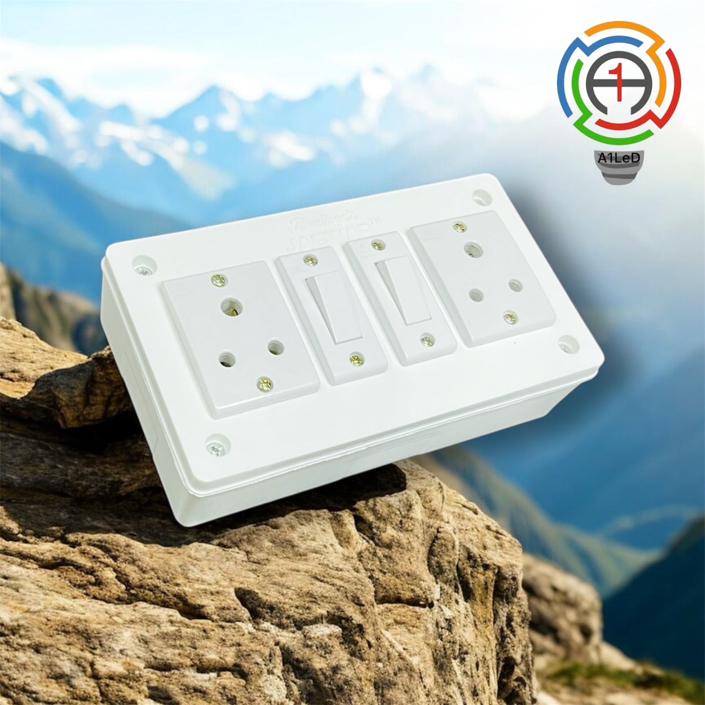 Premium Ready Switch Board – 2 Sockets, 2 Switches - A1 LED